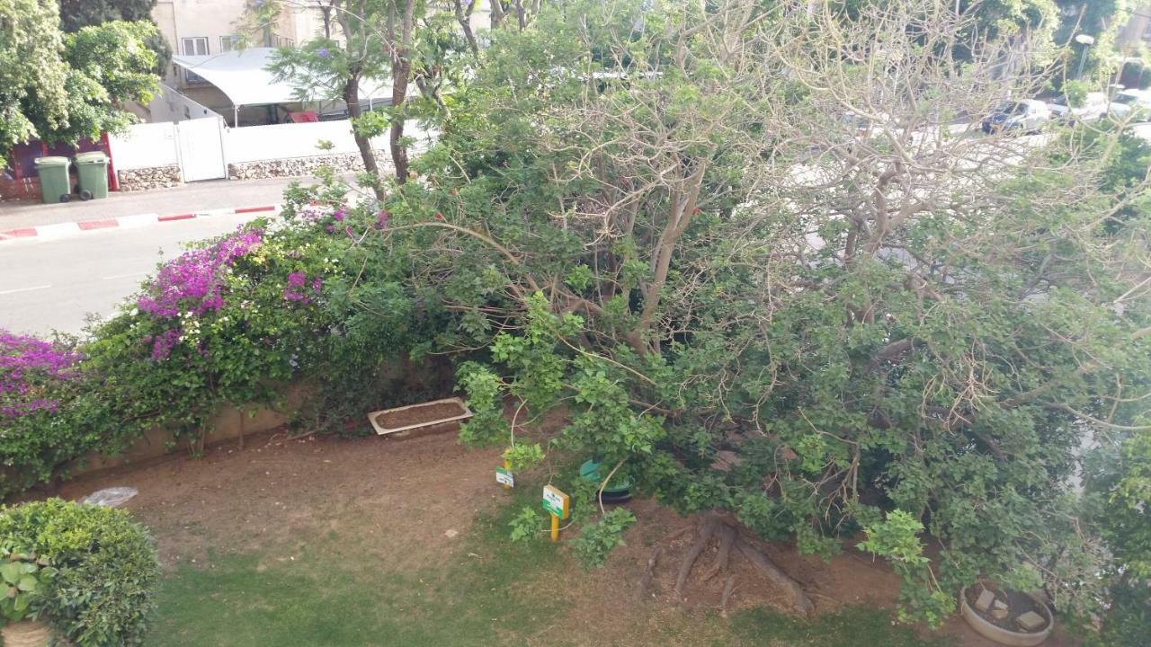 Herzliya Center Apartments 외부 사진